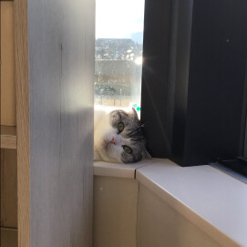 チラリ
