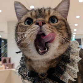 お誕生日会の様子をお届け❣️