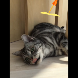 日陰も好きです👀