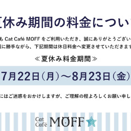 🌻夏休み料金について🐈