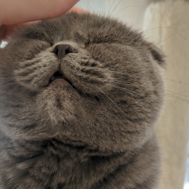 コウメちゃんをなでなで💓