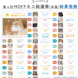 王座奪還👑