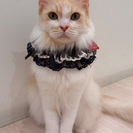 本日のお誕生日は、、、🎂