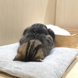ごめん寝中、、、💤