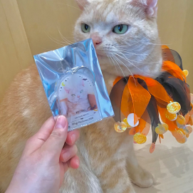 アクリルキーホルダーの販売開始🎃