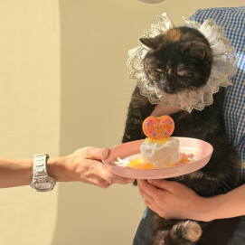 4月18日のお誕生日会の様子🎂