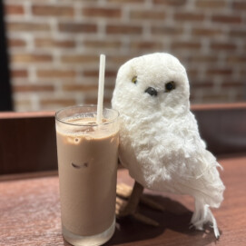 🤎土日祝限定　ショコラショー🤎