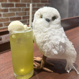 宮前メロンを使用したクリームソーダが新登場🍈