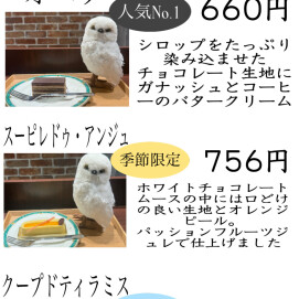 8月のおすすめケーキ🤍