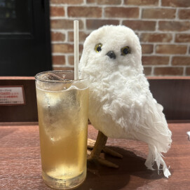 夏にピッタリ❕ジンジャーエール🫚❕