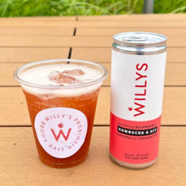 Willy's ACVコンブチャ🍎テイクアウトドリンク🧋