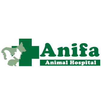 ANIFA ANIMAL HOSPITAL
