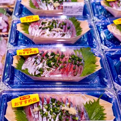 1月29日のおすすめ！石川県産『まあじ刺身』