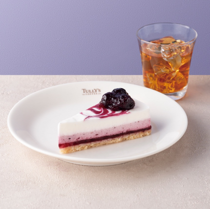 🧀 new cheese cake 🍰