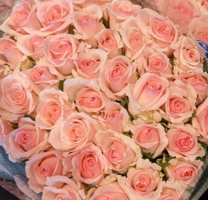 ☆バラのSALE開始ですー😊可愛らしいピンクのバラ5本セット！☆