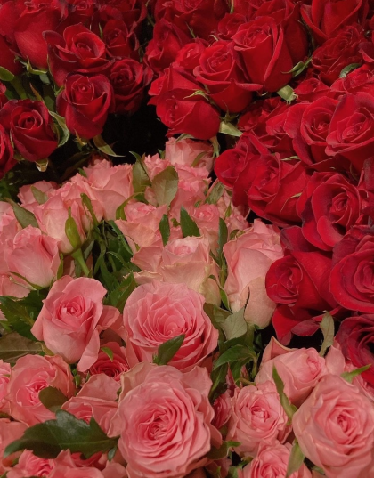 ☆バラ束SALE開始です！赤バラがお得にお買い求め頂けます！☆