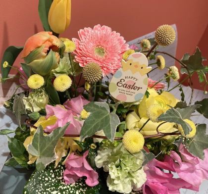 ☆４月ワークショップ開催のお知らせ！☆