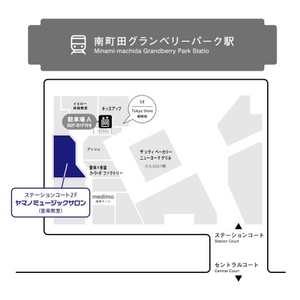 管楽器用リードのご紹介🎷