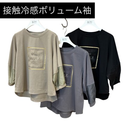 新入荷Tシャツ