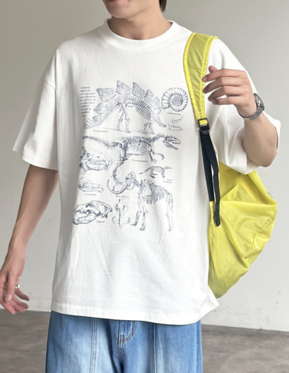 【アウトレット限定商品】CPCM カラーパウダーダイナソーT