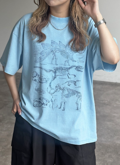 【アウトレット限定商品】CPCM カラーパウダーダイナソーT