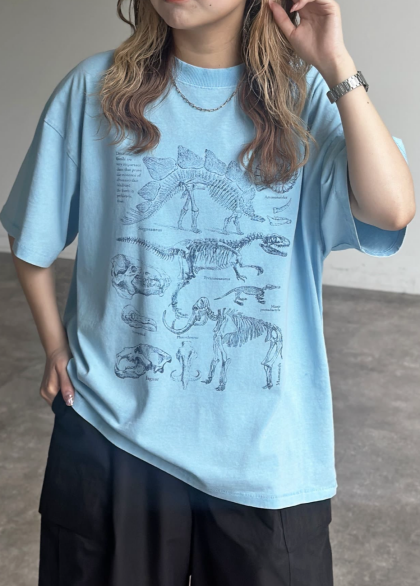 【アウトレット限定商品】CPCM カラーパウダーダイナソーT