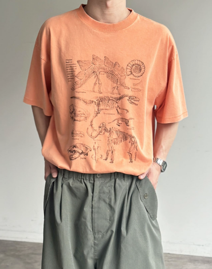 【アウトレット限定商品】CPCM カラーパウダーダイナソーT