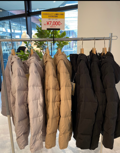 【残り2日！】特価販売、フレンチダウン♪