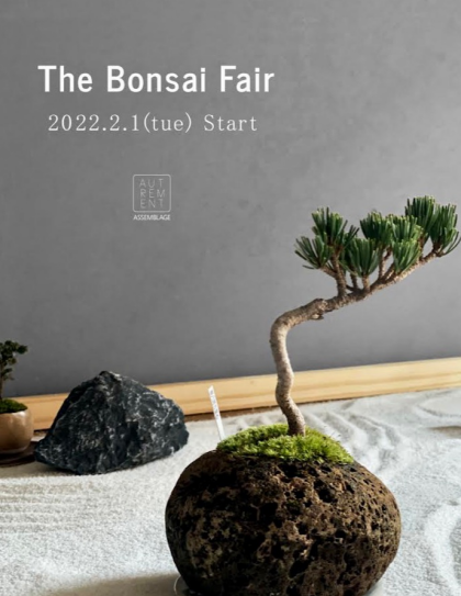 「The Bonsai Fair」