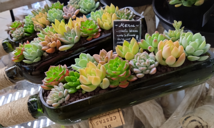 ギフト＆自分へのご褒美におススメ商品揃ってます！