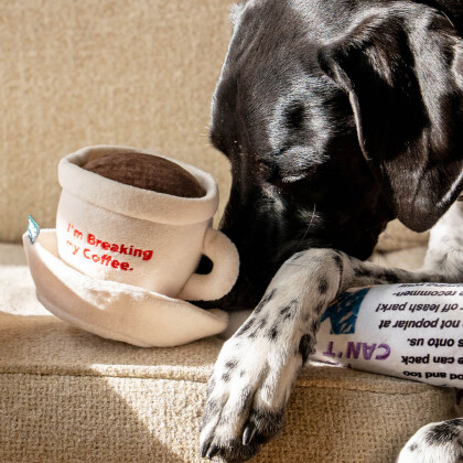 【RECOMMEND】愛犬と暮らす毎日に小さなこだりを