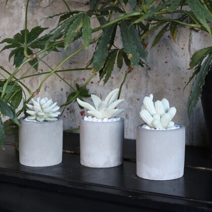 【RECOMMEND】部屋がぐっと華やぐ、季節を感じる雑貨特集