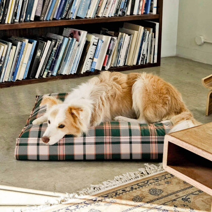 【RECOMMEND】愛犬と暮らす毎日に小さなこだりを