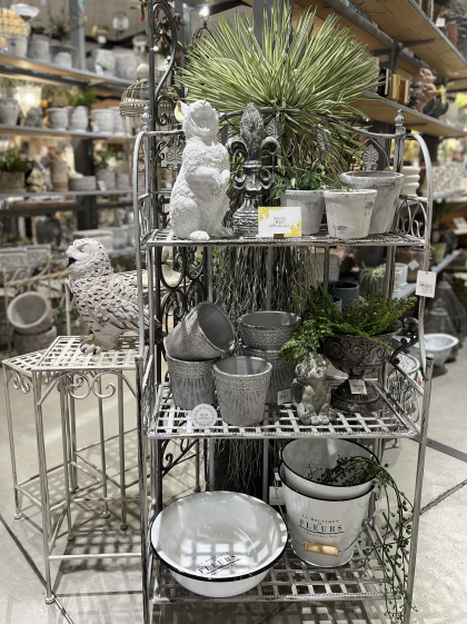 3月の新作アイテム🪴