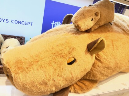 動物ぬいぐるみ「tetra」「CUSHY」「potte」販売開始！