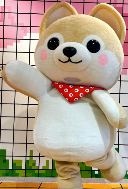 【🚀イベント告知】豆しば三兄弟 さすけくんグリーティングイベント