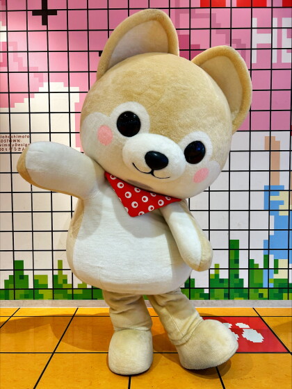 【豆しば三兄弟】さすけがやってくる！【グリーティングイベント】