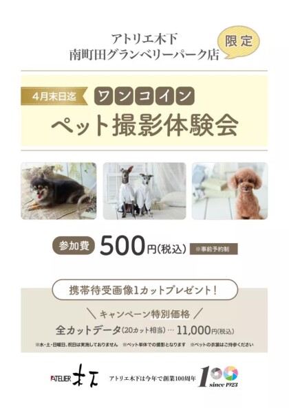 大好評！！ペット撮影体験会☆.+*