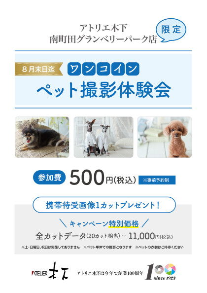ワンコイン！撮影体験.☆+*:ﾟ