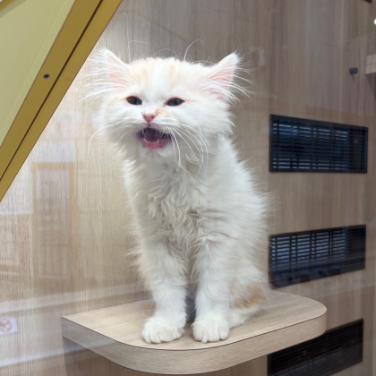 おしゃべり上手なみぬくん🤭💗