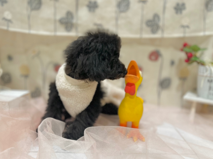 💗他店舗からお引越ししてくれました💗
