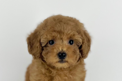 とんでもなく甘えん坊な男の子が入園しました‼️