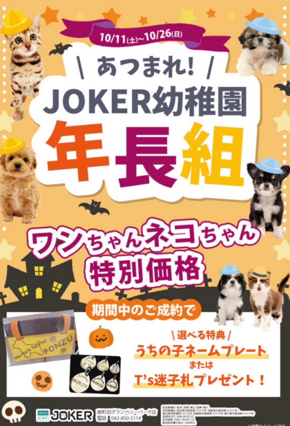 【‼️期間限定特別価格‼️】ハロウィン限定イベント🎃