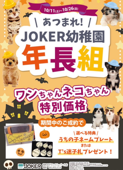 【‼️期間限定特別価格‼️】ハロウィン限定イベント🎃