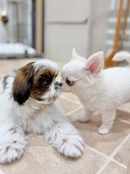 とっても仲良し🐣ジョーカー幼稚園🌱✨