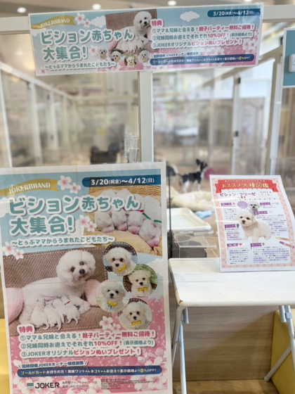 ☁️‼️ビジョン祭り開催中‼️☁️