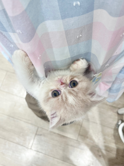 💓ぶちゃかわアイドルが入園しました💓