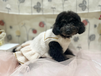 💗他店舗からお引越ししてくれました💗
