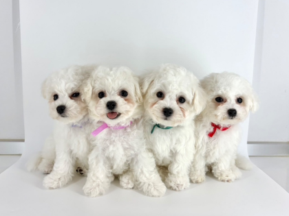 ☁️‼️ビジョン祭り開催中‼️☁️