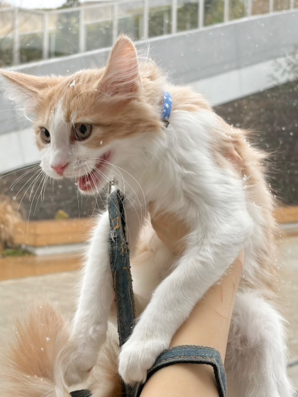 人生初の雪❄️を体験しました‼️ver.2